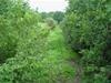 Railway Track