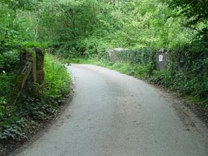 Railway Bridge